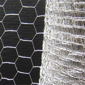 poultry wire Galvanized Hexagonal wire mesh